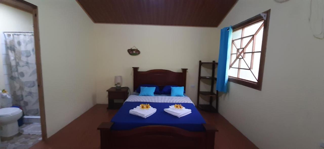 Garden Of Heliconias Lodge Drake Bay Bagian luar foto