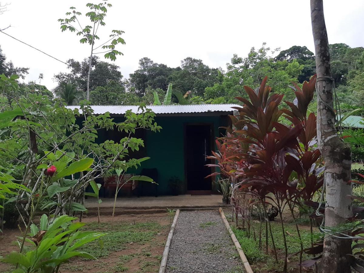 Garden Of Heliconias Lodge Drake Bay Bagian luar foto