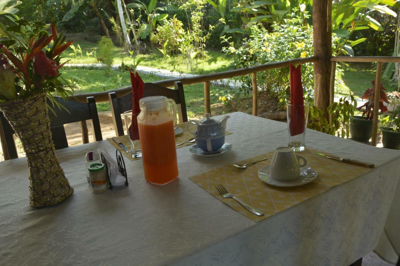 Garden Of Heliconias Lodge Drake Bay Bagian luar foto