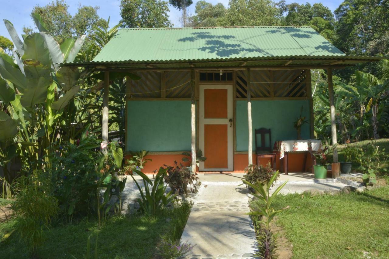 Garden Of Heliconias Lodge Drake Bay Bagian luar foto