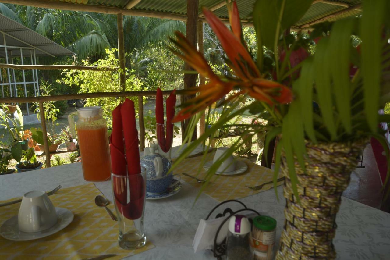 Garden Of Heliconias Lodge Drake Bay Bagian luar foto