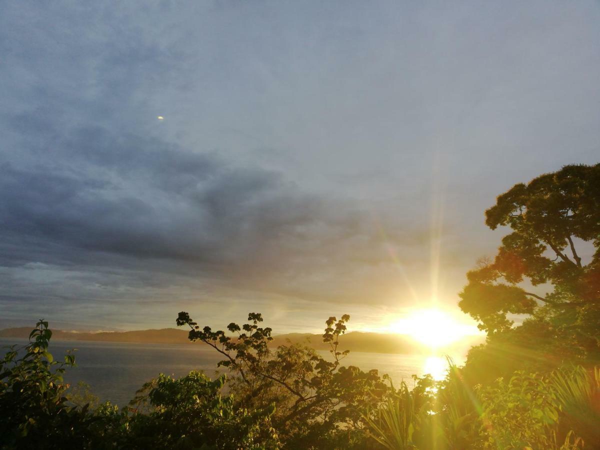 Garden Of Heliconias Lodge Drake Bay Bagian luar foto