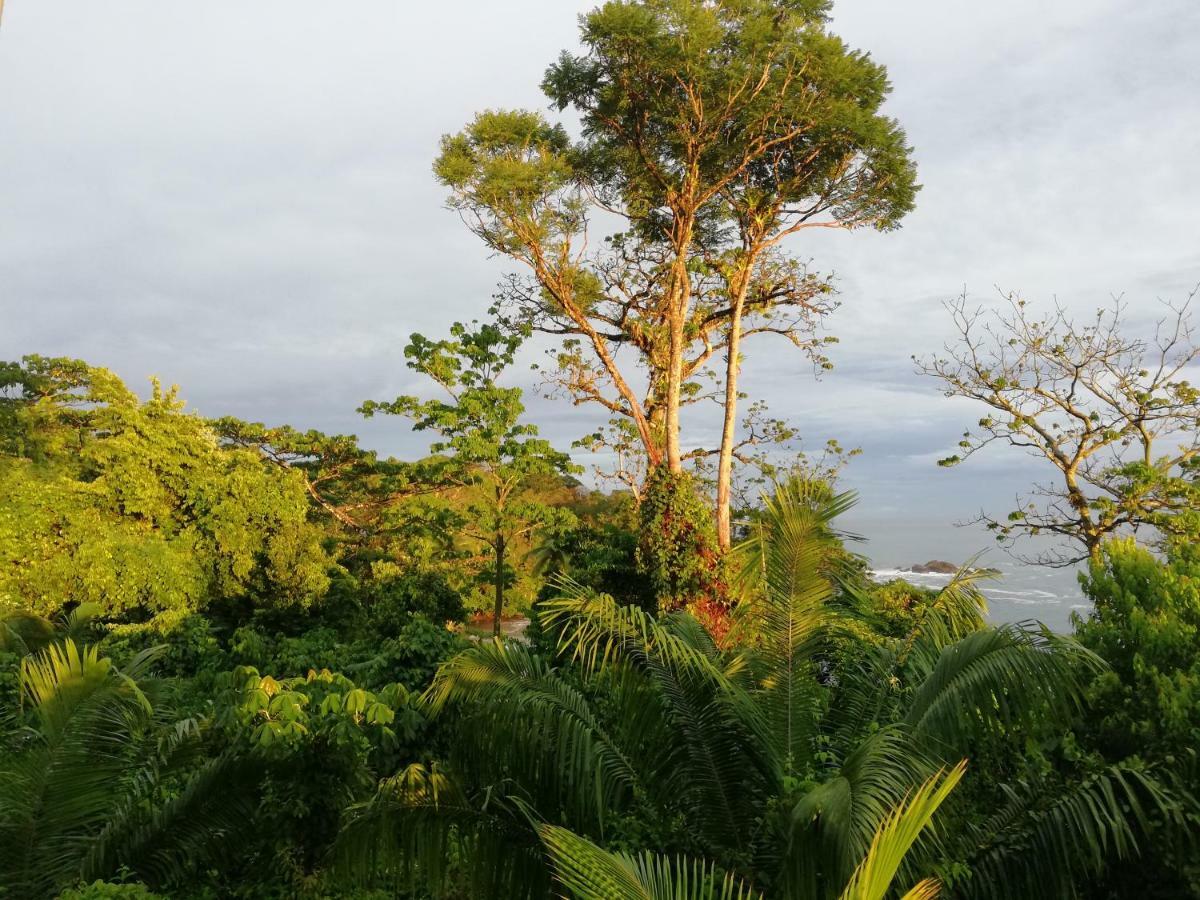 Garden Of Heliconias Lodge Drake Bay Bagian luar foto