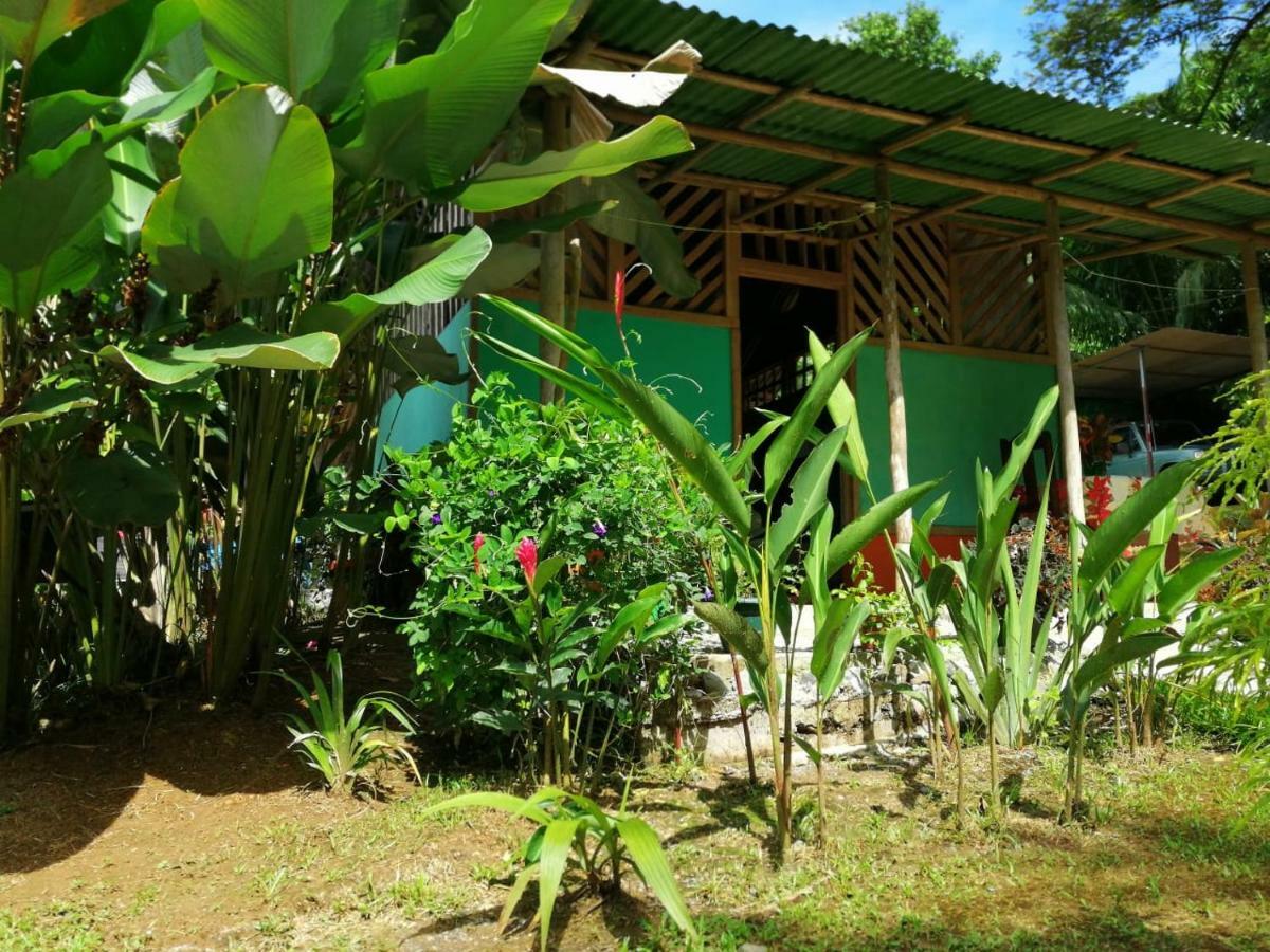 Garden Of Heliconias Lodge Drake Bay Bagian luar foto