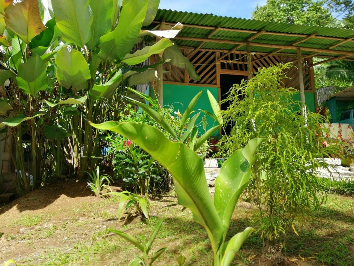 Garden Of Heliconias Lodge Drake Bay Bagian luar foto